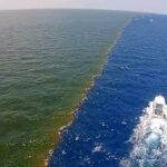 Mukjizat Ilmiah di Lautan & Dunia Binatang – FB