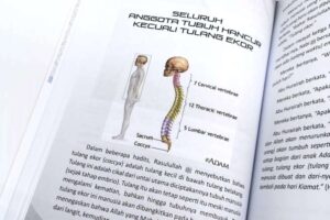 Miracles of Al-Quran dan As-Sunnah 5 Bonus 3 Surah Pilihan – DGV